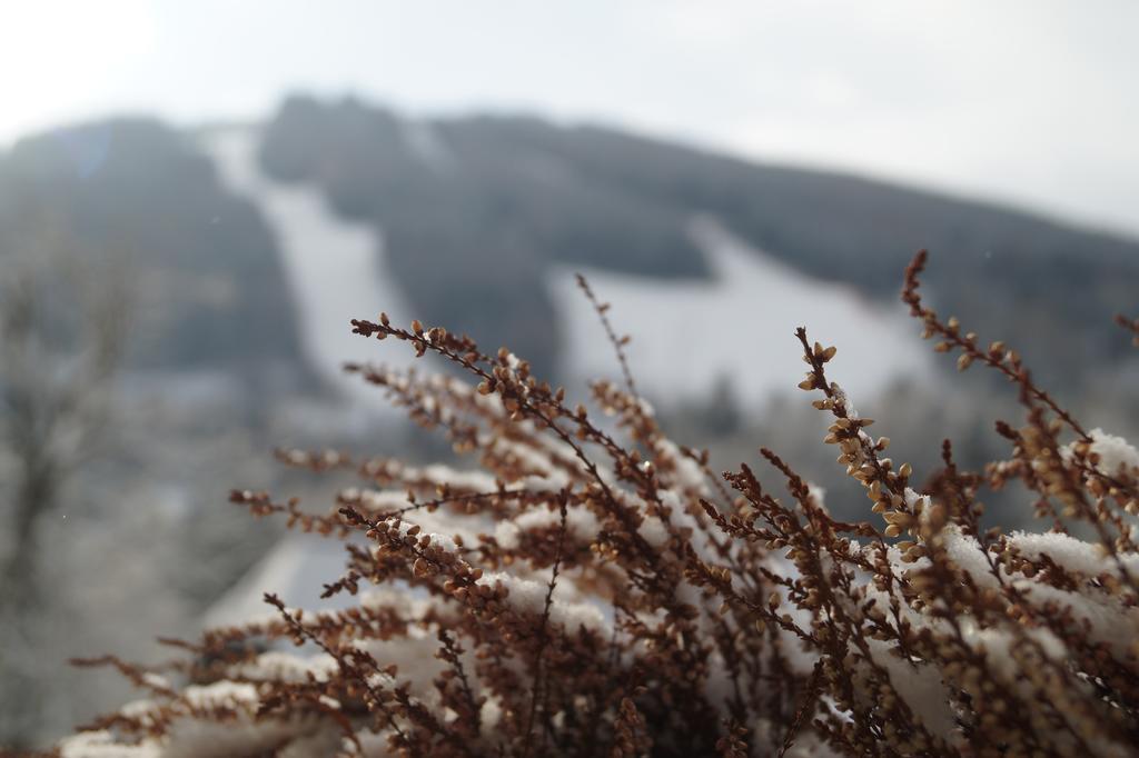 Belvedere Hotel Semmering Luaran gambar